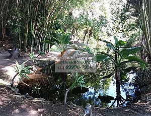 Terreno em Condom�nio