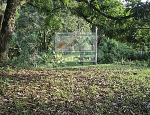 Rural
