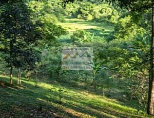 Rural