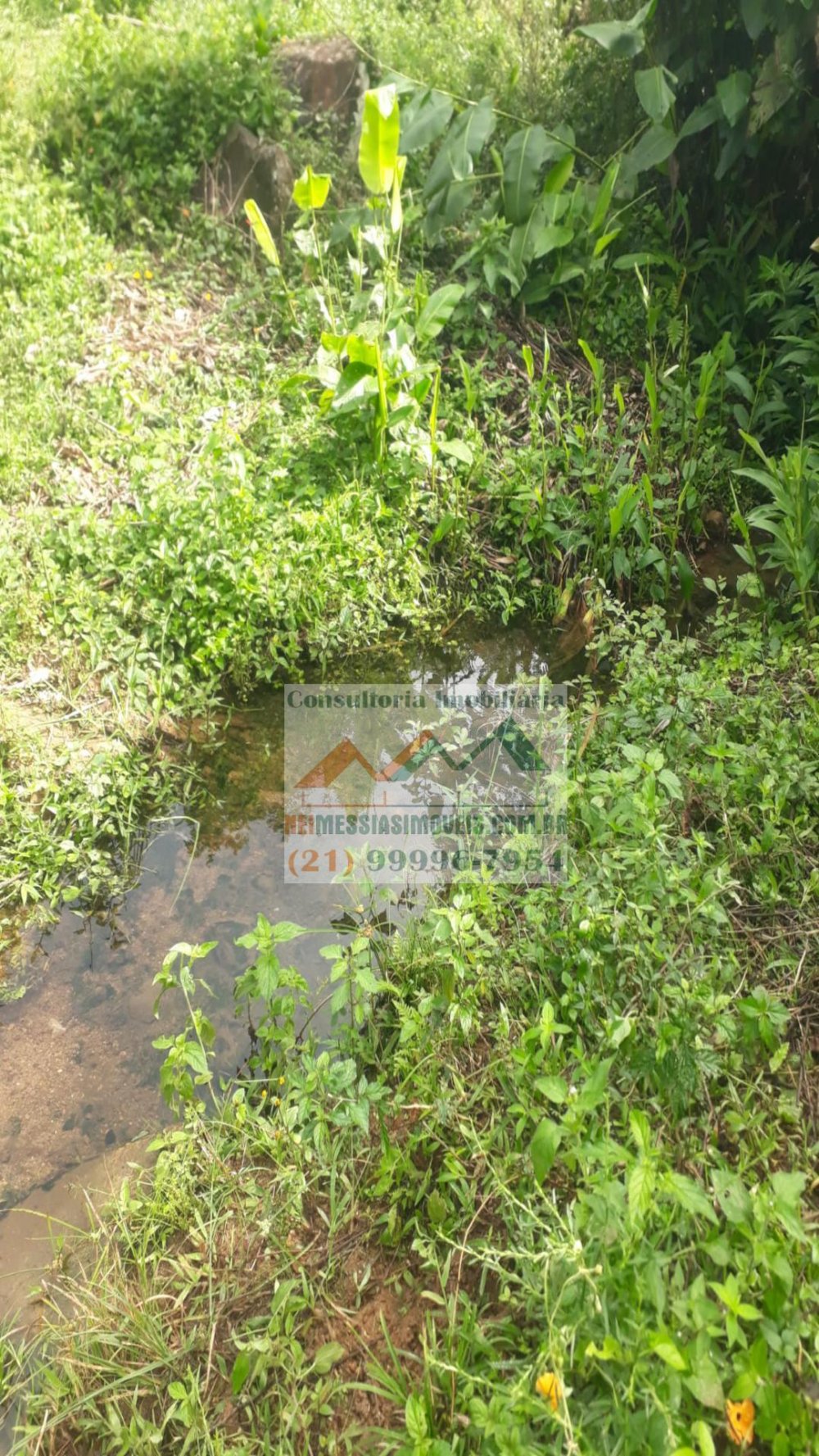 Rural - Venda - Centro - Rio Bonito - RJ