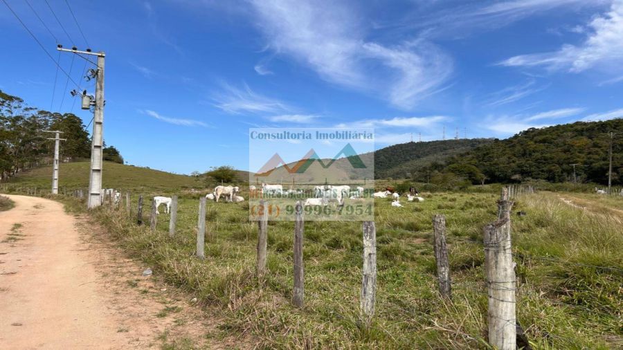 Fazenda - Venda - Rio Bonito - Rio Bonito - RJ