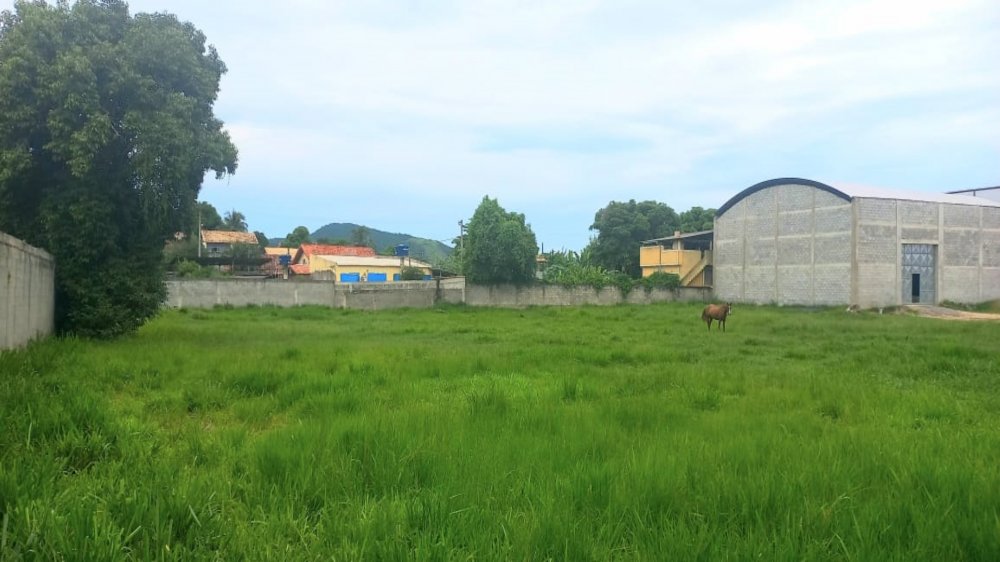 Galpão - Aluguel - Itapeba - Maricá - RJ