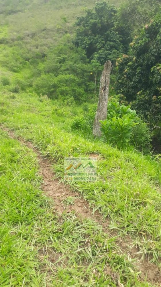 Rural - Venda - Centro - Rio Bonito - RJ