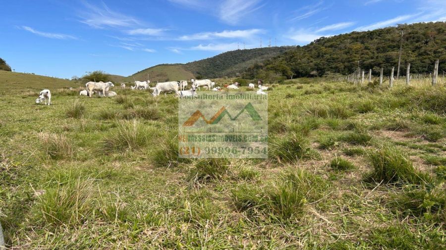 Rural - Venda - Rio Bonito - Rio Bonito - RJ