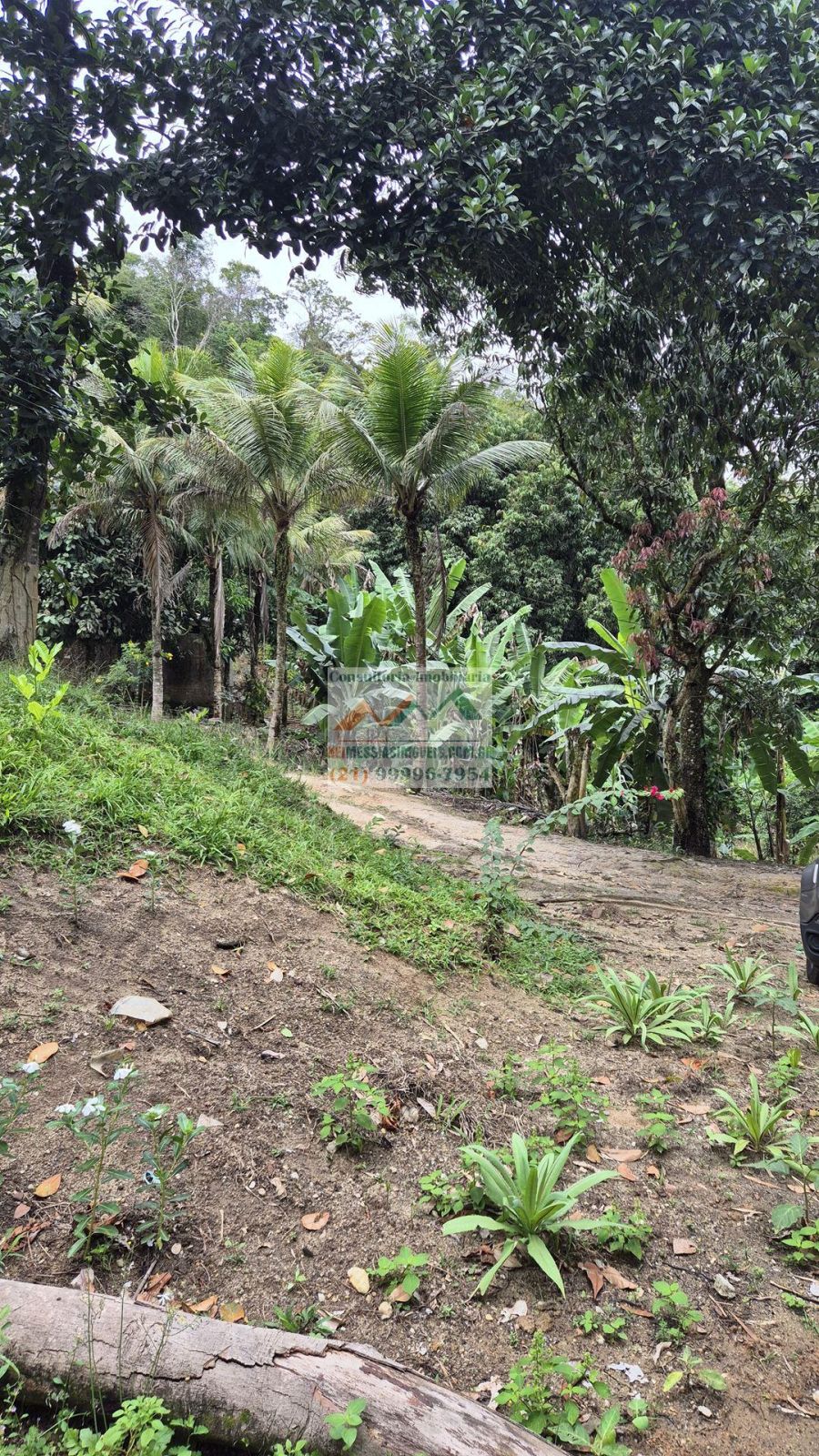 Rural - Venda - Viosa - Rio Bonito - RJ