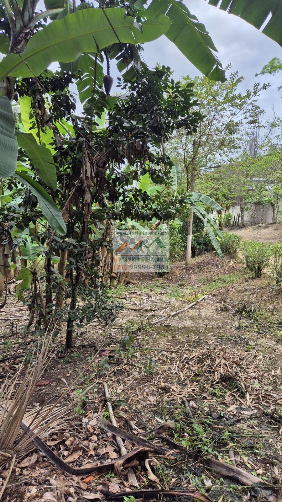 Rural - Venda - Vi�osa - Rio Bonito - RJ