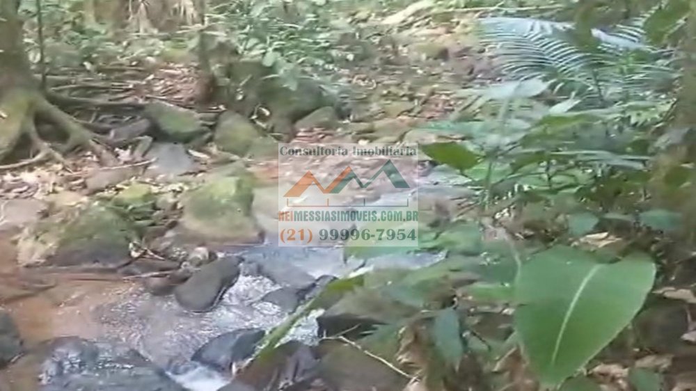 Rural - Venda - Lavras - Rio Bonito - RJ