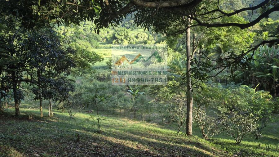 Rural - Venda - Balne�rio Bambu� (ponta Negra) - Maric� - RJ